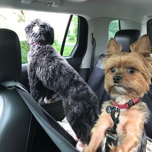 Meet your Posher, Michelle